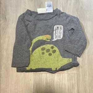 Kids Gray Dinosaur Shirt